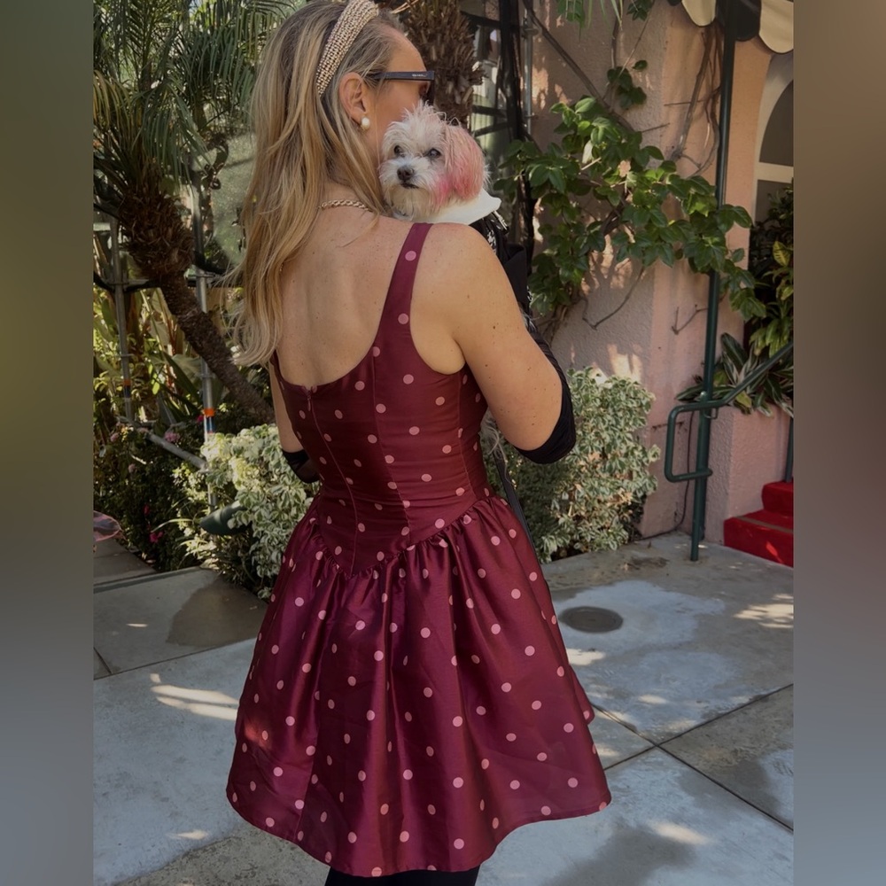 Hutch Burgundy Red Polka Dot Mini Dress NWT
